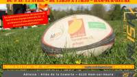 ANnonce-stage-Paques-2018